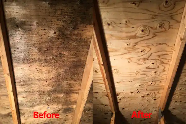 water damage restoration service Muldraugh